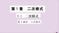 初中数学湘教版八年级上册第5章 二次根式5.1 二次根式习题课件ppt