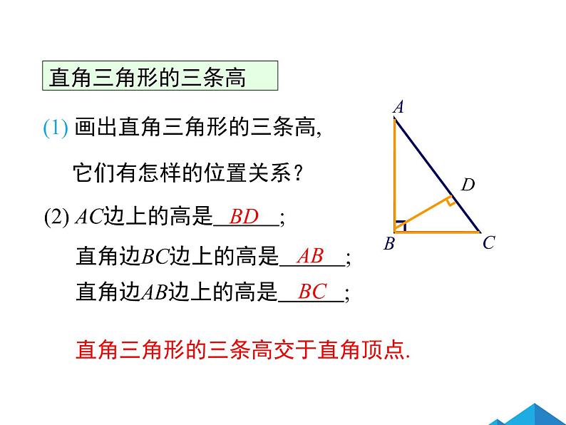 11.1.2三角形的高、中线与角平分线 课件08