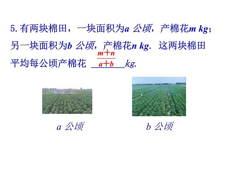 八年级下数学课件《分式》  (18)_苏科版第3页