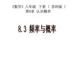 八年級下數(shù)學(xué)課件《頻數(shù)與頻率》 (5)_蘇科版