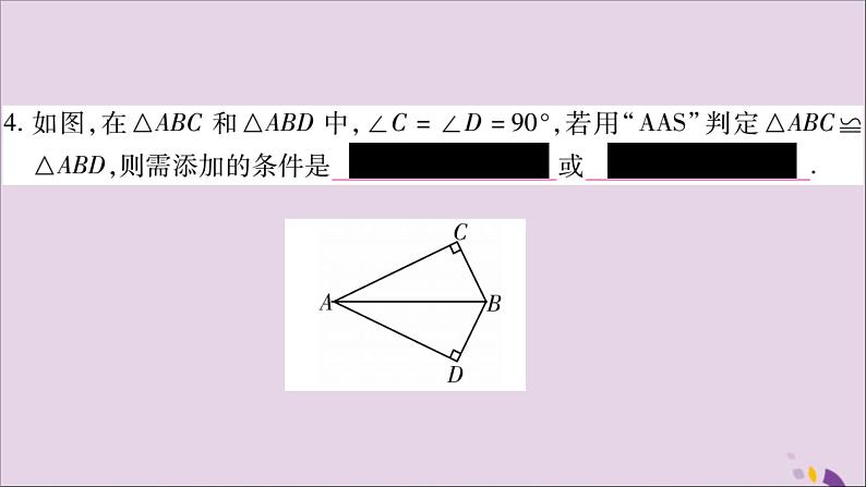 八年级数学上册第2章三角形2-5全等三角形第4课时三角形全等的判定（AAS）习题课件（新版）湘教版06