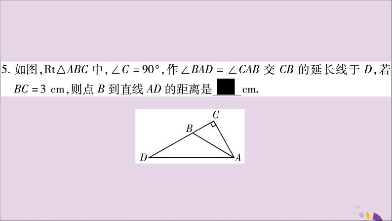 八年级数学上册第2章三角形2-5全等三角形第4课时三角形全等的判定（AAS）习题课件（新版）湘教版07