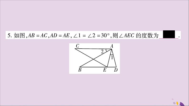 八年级数学上册第2章三角形2-5全等三角形第2课时三角形全等的判定（SAS）习题课件（新版）湘教版08