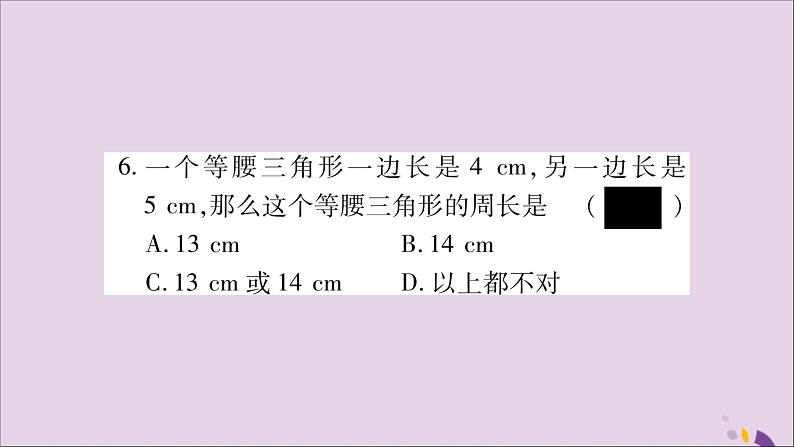 八年级数学上册双休作业（4）习题课件（新版）湘教版07