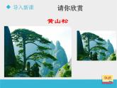 八年级下数学课件《9-1成比例线段》第1课时_鲁教版