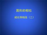 八年级下数学课件《成比例线段 2 》参考课件_鲁教版