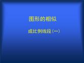 八年级下数学课件《成比例线段 1 》参考课件_鲁教版