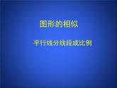 八年级下数学课件《平行线分线段成比例》参考课件1_鲁教版