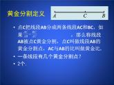 八年级下数学课件《探索三角形相似的条件 4 》参考课件_鲁教版