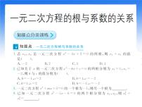 初中5 一元二次方程根与系数的关系习题ppt课件