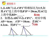 八年级下数学课件9-8相似三角形的性质(2)_鲁教版