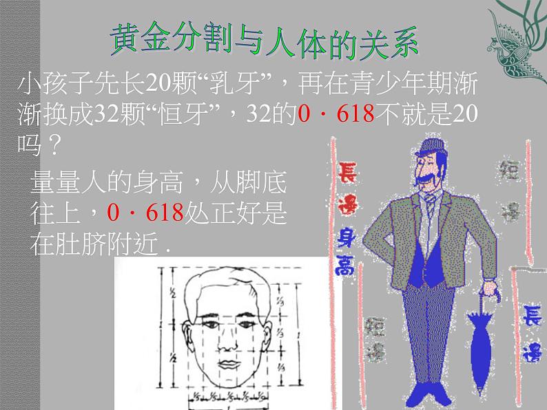 八年级下数学课件黄 金分割ppt课件一_鲁教版03