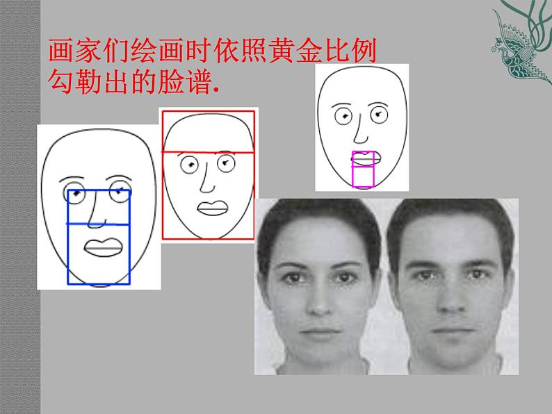 八年级下数学课件黄 金分割ppt课件一_鲁教版04