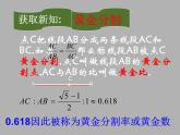 八年级下数学课件黄 金分割ppt课件一_鲁教版