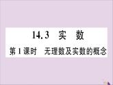 八年级数学上册14-3第1课时无理数及实数的概念课件（新版）冀教版