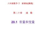 八年级下数学课件《常量和变量》课件2_冀教版