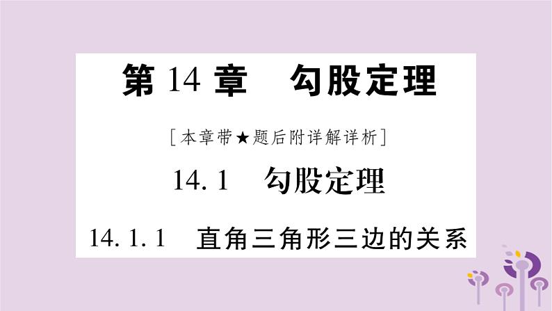 八年级数学上册第14章勾股定理14-1勾股定理14-1-1直角三角形三边的关系作业课件01