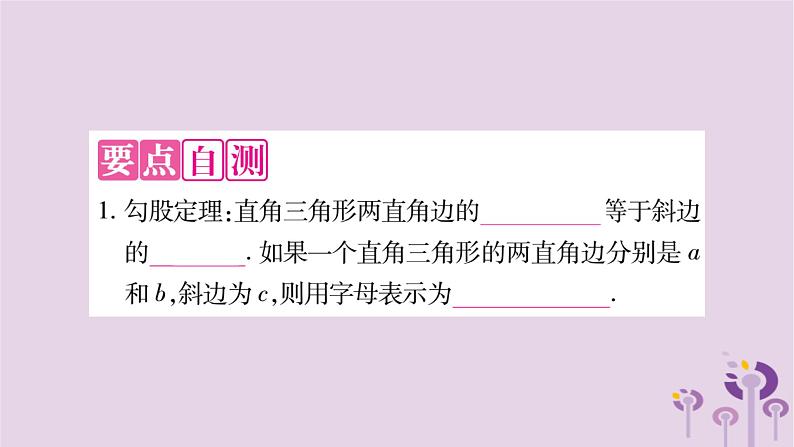 八年级数学上册第14章勾股定理14-1勾股定理14-1-1直角三角形三边的关系作业课件02