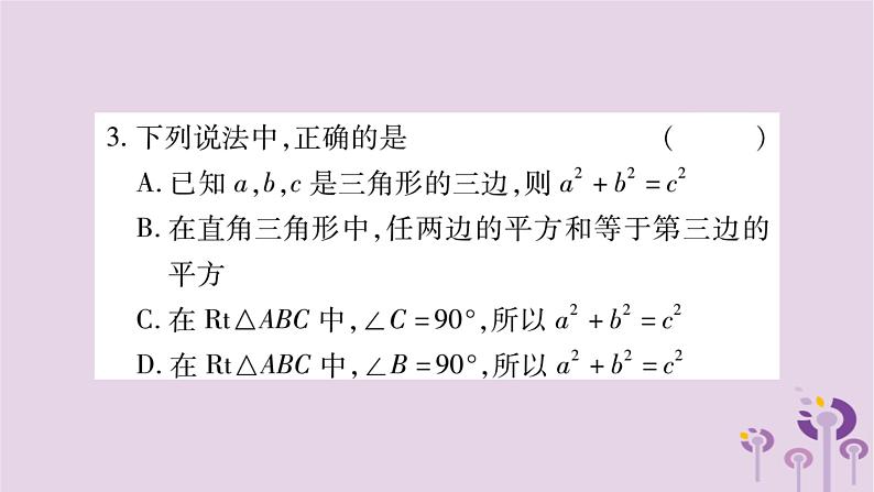 八年级数学上册第14章勾股定理14-1勾股定理14-1-1直角三角形三边的关系作业课件04