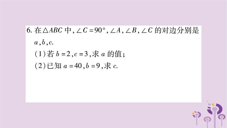 八年级数学上册第14章勾股定理14-1勾股定理14-1-1直角三角形三边的关系作业课件07