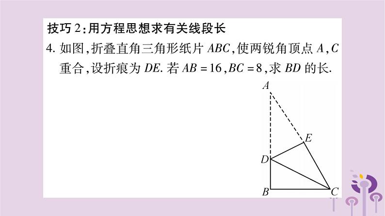 八年级数学上册第14章勾股定理小专题（十一）利用勾股定理巧解折叠问题作业课件05