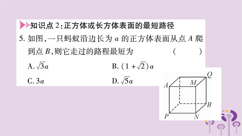 八年级数学上册第14章勾股定理14-2勾股定理的应用作业课件05