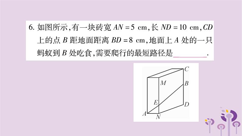 八年级数学上册第14章勾股定理14-2勾股定理的应用作业课件06