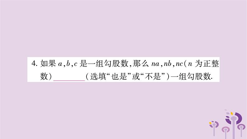 八年级数学上册第14章勾股定理14-1勾股定理14-1-2直角三角形的判定作业课件04