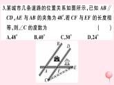 2019秋八年级数学上册综合滚动练习等腰三角形、线段垂直平分线与角平分线习题课件