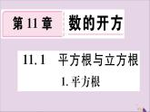 八年级数学上册第11章数的开方11-1平方根与立方根11-1-1平方根习题课件