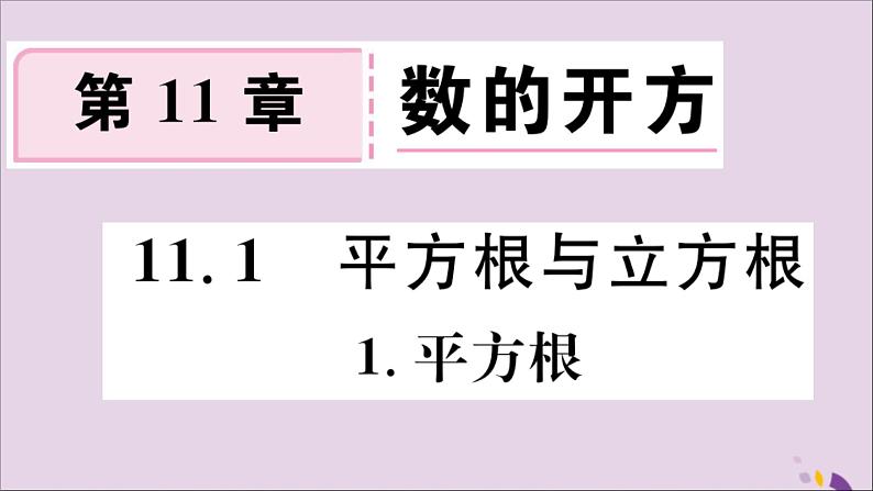 八年级数学上册第11章数的开方11-1平方根与立方根11-1-1平方根习题课件01