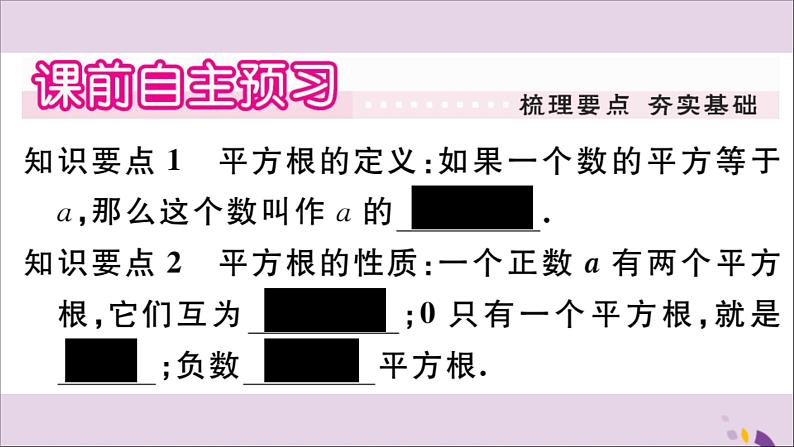 八年级数学上册第11章数的开方11-1平方根与立方根11-1-1平方根习题课件02