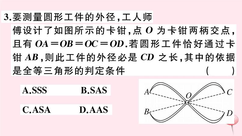 2019秋八年级数学上册综合滚动练习全等三角形的性质与判定习题课件04