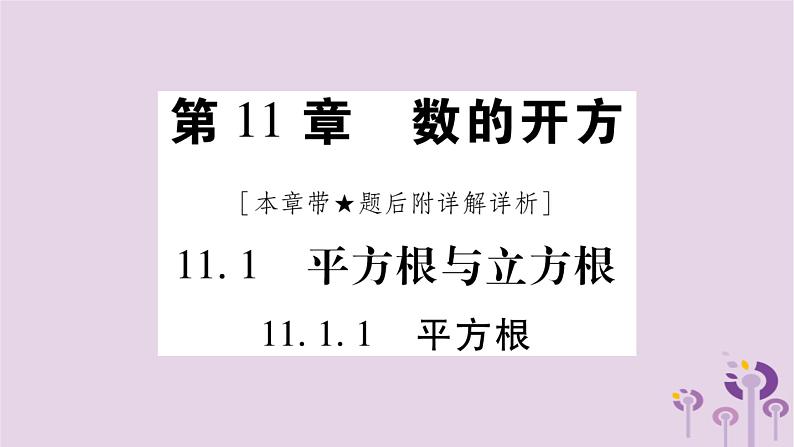 八年级数学上册第11章数的开方11-1平方根与立方根11-1-1平方根作业课件01