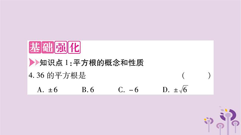 八年级数学上册第11章数的开方11-1平方根与立方根11-1-1平方根作业课件03