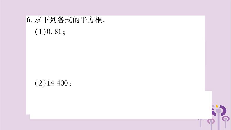 八年级数学上册第11章数的开方11-1平方根与立方根11-1-1平方根作业课件05