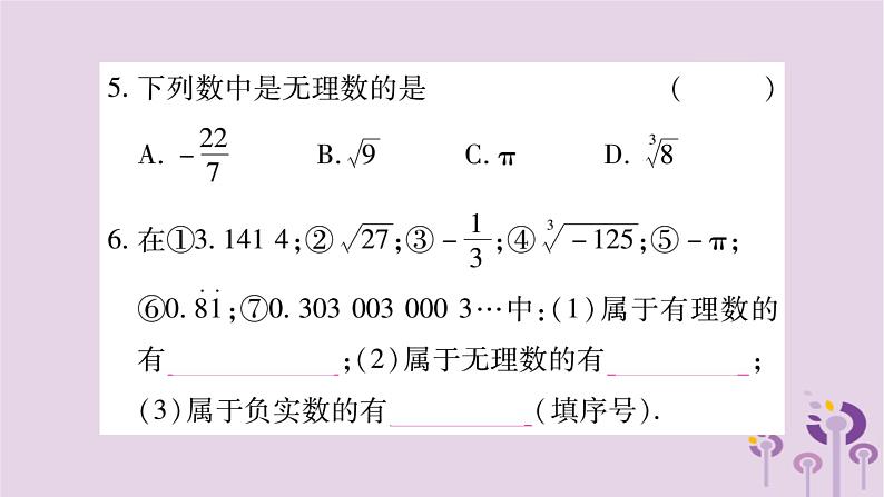 八年级数学上册第11章数的开方11-2实数作业课件04