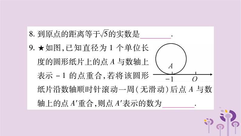 八年级数学上册第11章数的开方11-2实数作业课件06