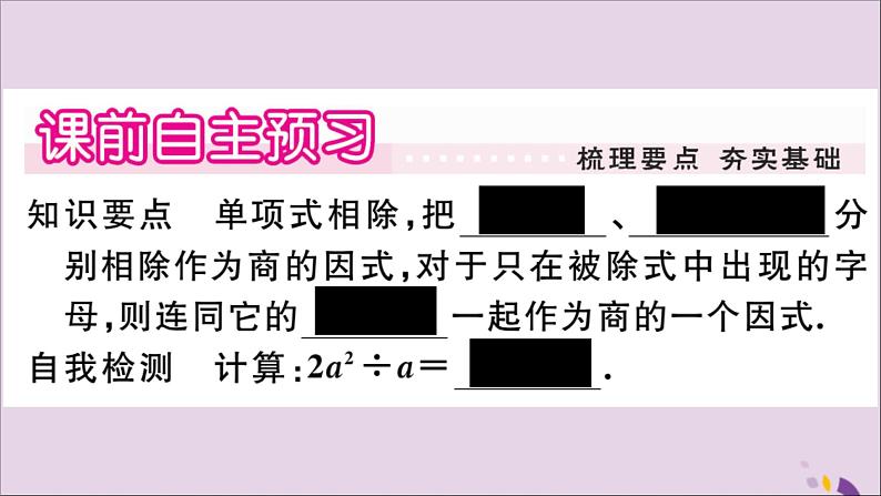 八年级数学上册第12章整式的乘除12-4整式的除法12-4-1单项式除以单项式习题课件02