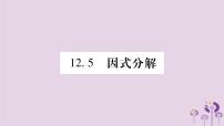 华师大版八年级上册12.5 因式分解精品作业课件ppt