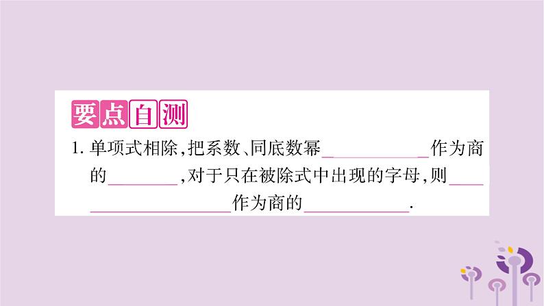 八年级数学上册第12章整式的乘除12-4整式的除法12-4-1单项式除以单项式作业课件02