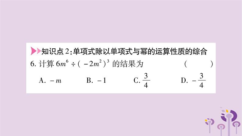 八年级数学上册第12章整式的乘除12-4整式的除法12-4-1单项式除以单项式作业课件06