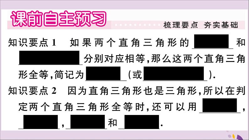 八年级数学上册第13章全等三角形13-2三角形全等的判定13-2-6斜边直角边习题课件02