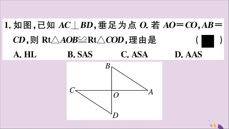 八年级数学上册第13章全等三角形13-2三角形全等的判定13-2-6斜边直角边习题课件04