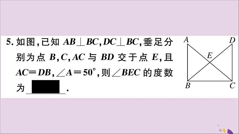 八年级数学上册第13章全等三角形13-2三角形全等的判定13-2-6斜边直角边习题课件08