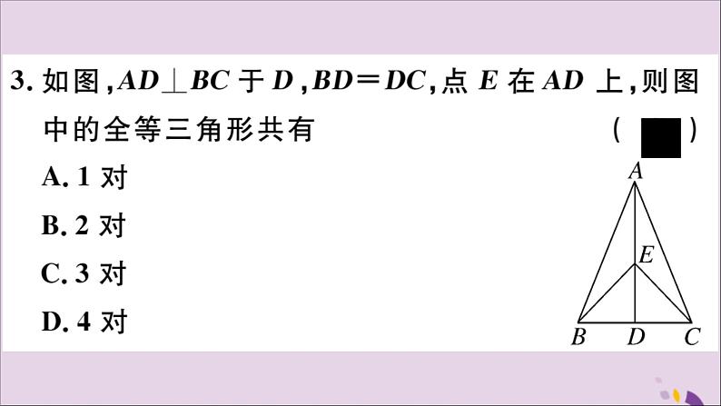 八年级数学上册第13章全等三角形13-2三角形全等的判定13-2-3边角边习题课件06