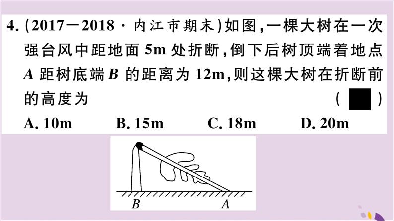 直角三角形三边的关系PPT课件免费下载08