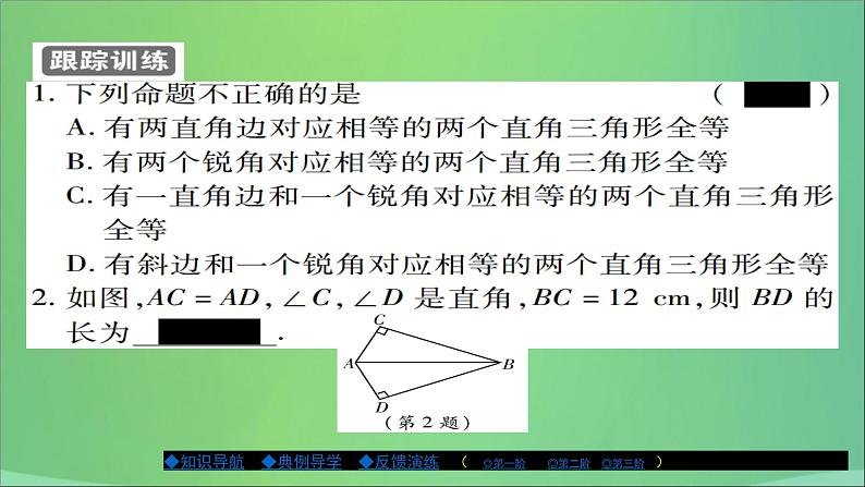 八年级数学上册第十三章全等三角形13-2三角形全等的判定（第6课时）课件04