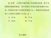 八年级数学上册期末综合测试卷习题课件
