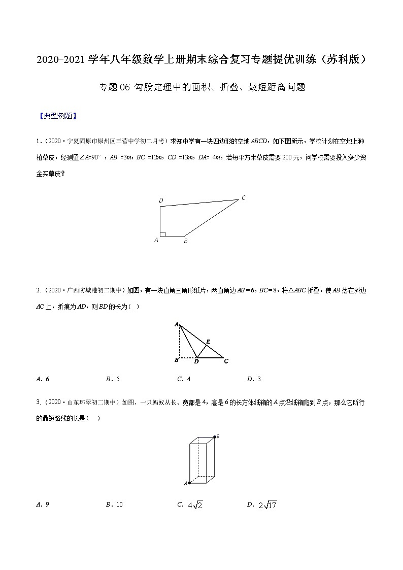 2020-2021学年 苏科版八年级数学上册期末冲刺  专题06 勾股定理中的面积、折叠、最短距离问题（学生版）第1页